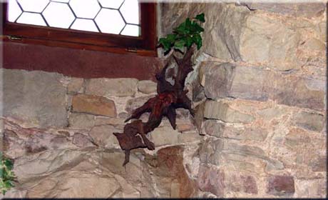 Detail mit Felsen und Efeu ...