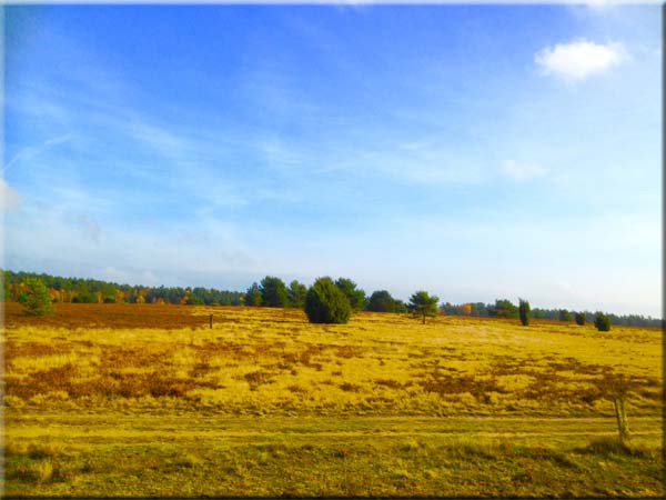 Autofreie Reitwege ... Reiten ohne Angst in der Öüneburger heide bei Carén & Rene - Landhaus Carat
