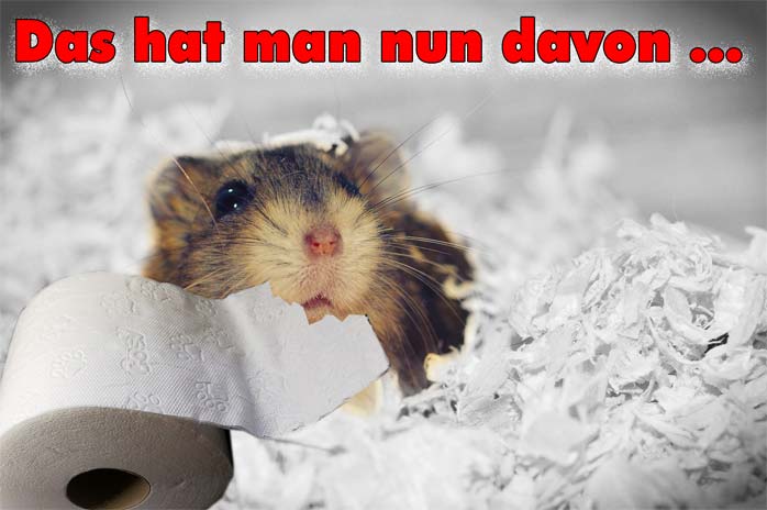 Hamsterkäufe sind gefährlich, besonders was Klopapier betrifft ...